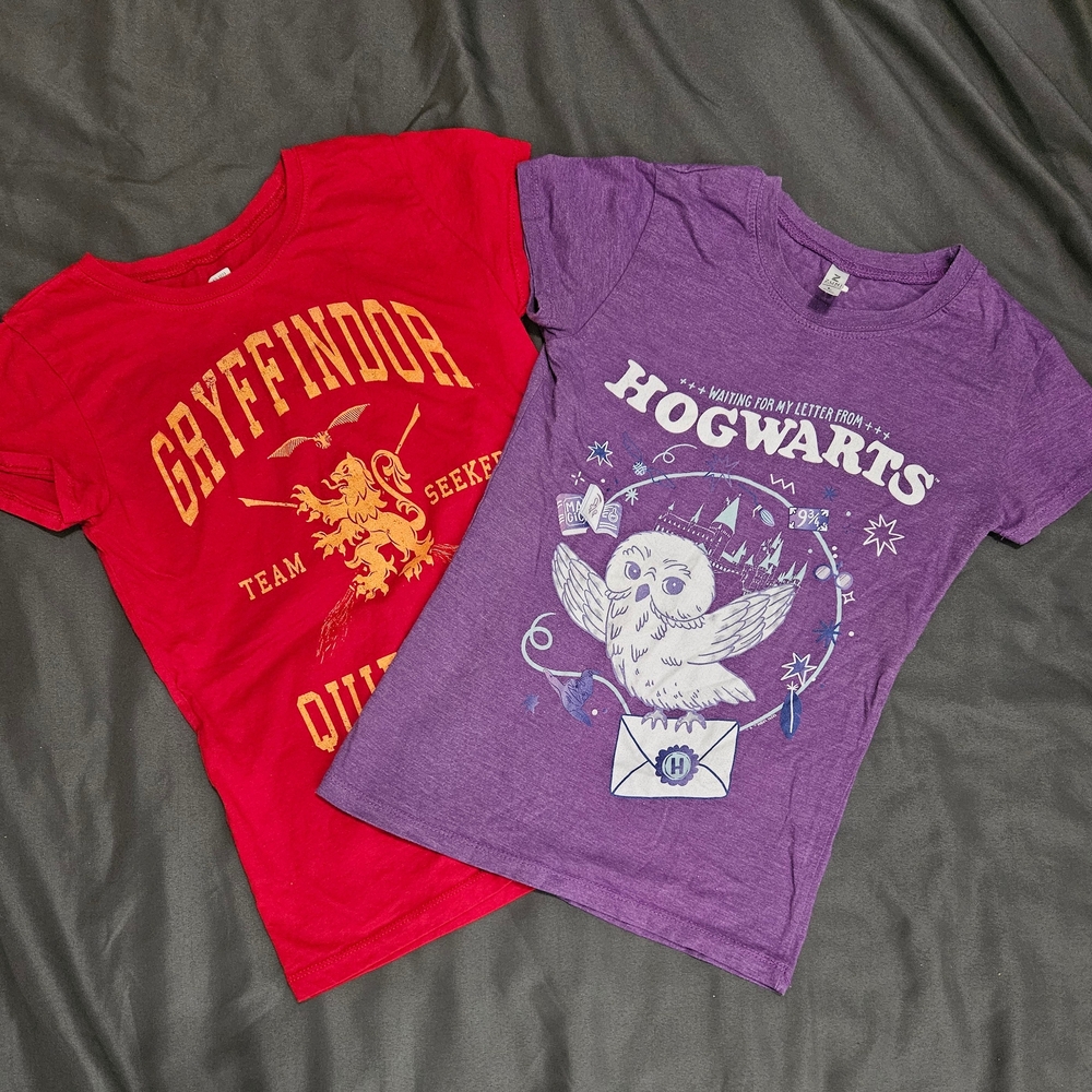 Red and Purple Short Sleeve Tees with Harry Potter Graphics, H&M Hedwig Crop